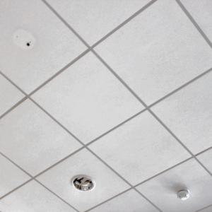 Untitled 800 x 800 px 4 | ceil tex inc Acoustic Ceiling Tiles
