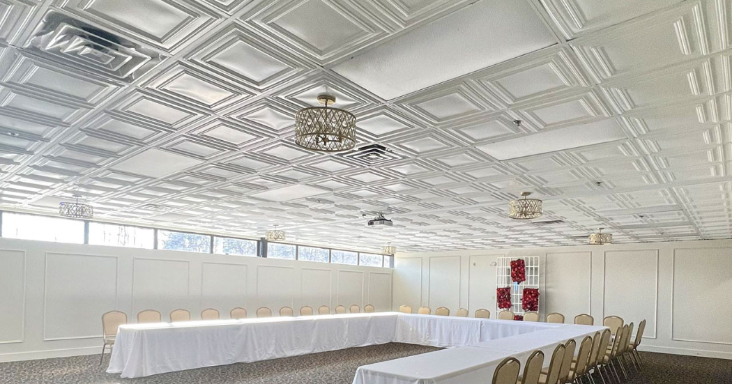 Contemporary ceiling | ceil tex inc Contemporary Ceiling