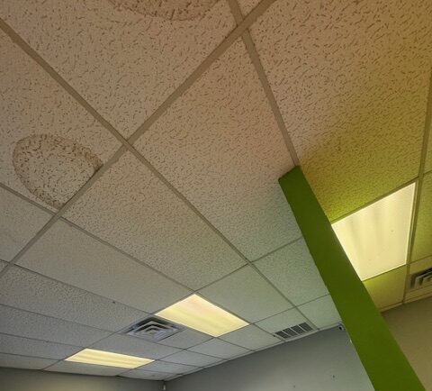 mold om ceiling tiles