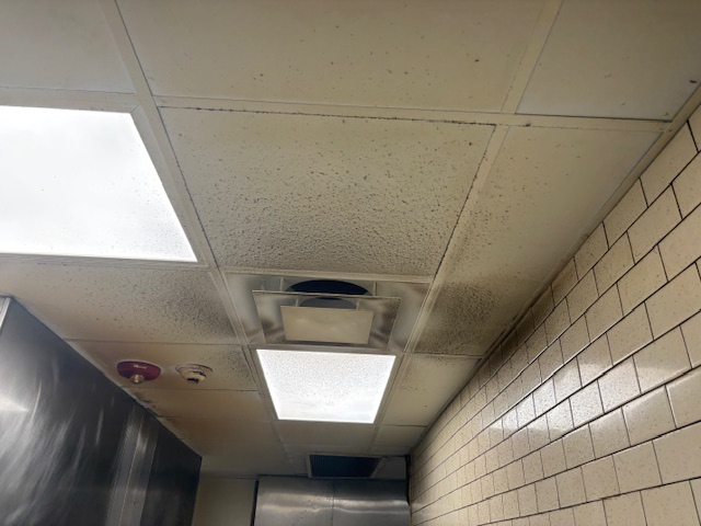 before vent cleaning