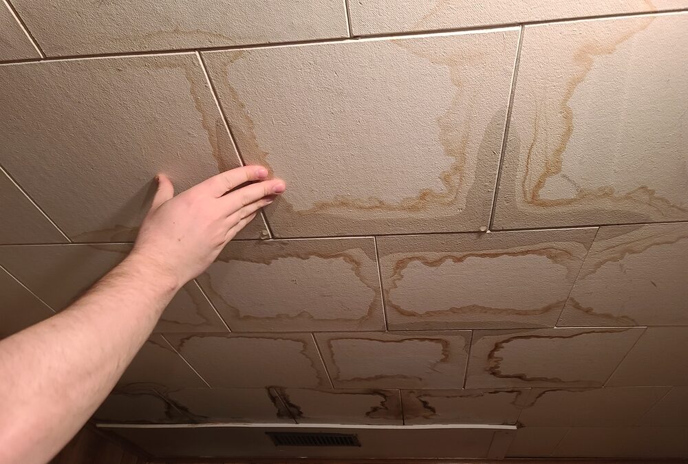 8 Signs It’s Time to Replace Your Commercial Ceiling Tiles