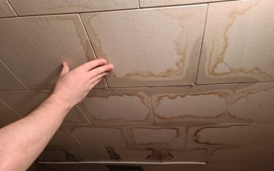 8 Signs It’s Time to Replace Your Commercial Ceiling Tiles